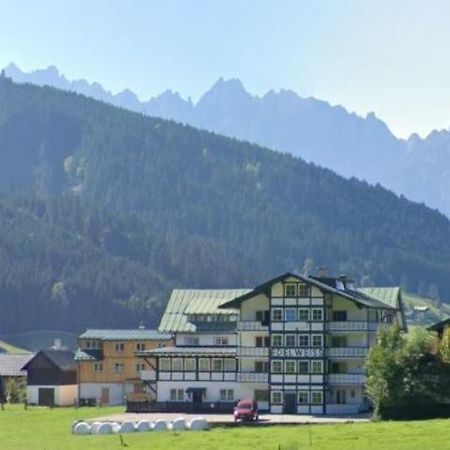 Apartment Haarlem Гозау Екстериор снимка