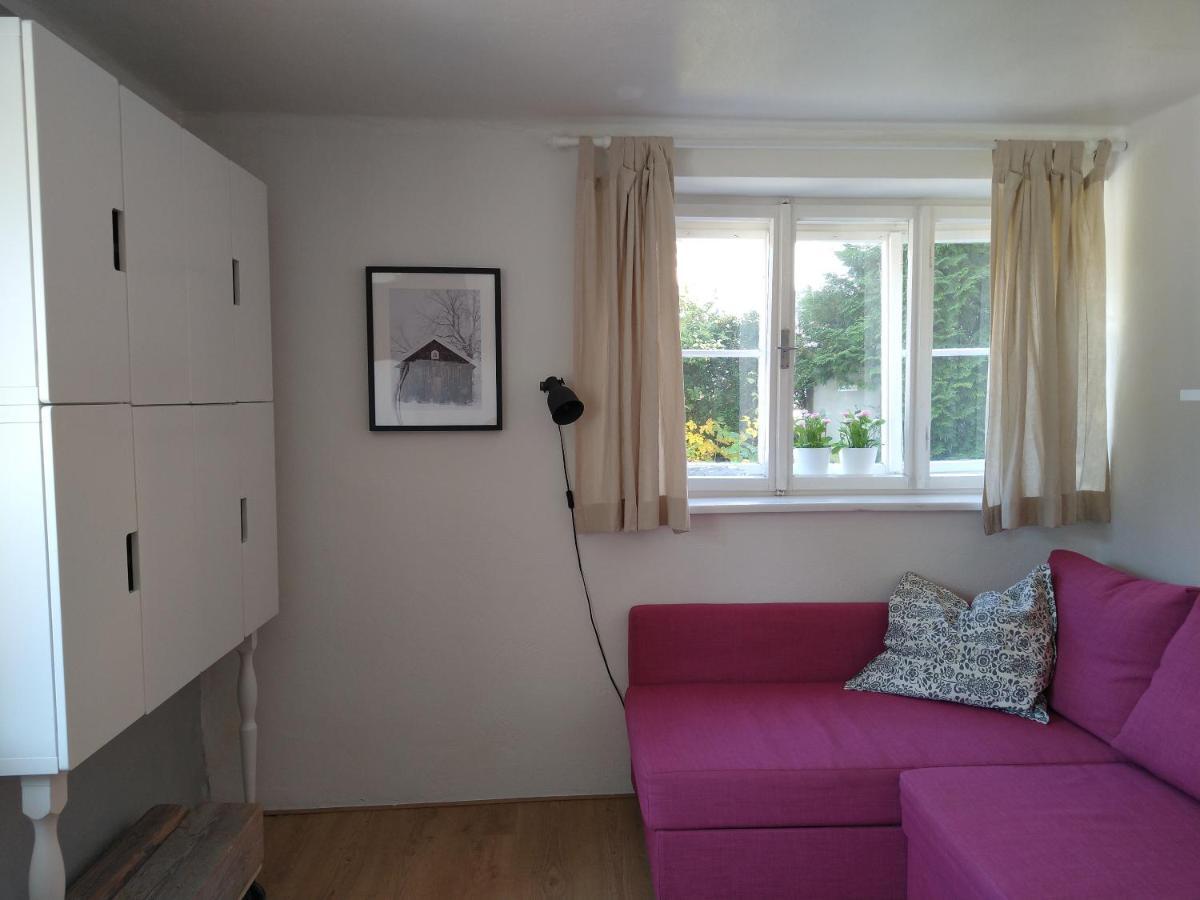 Apartment Haarlem Гозау Екстериор снимка
